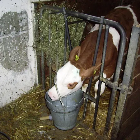 Haus Ase - Urlaub Am Bauernhof